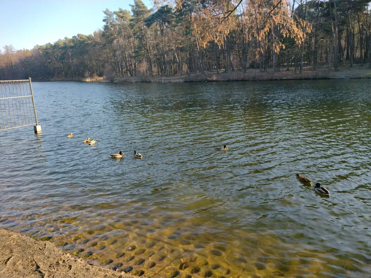 Zdjęcie Jezioro Skrzyneckie – idealne miejsce na wędkowanie i relaks