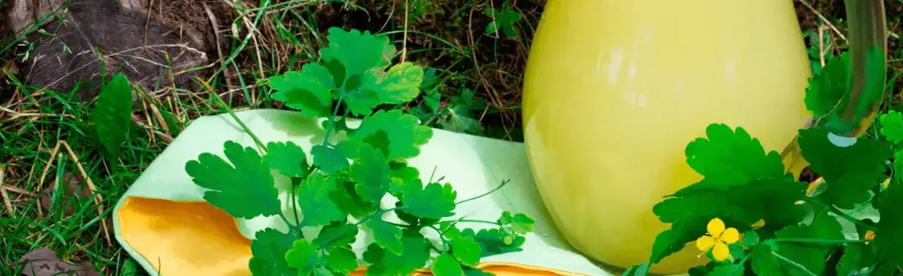 Zdjęcie Balsam Bołotowa na co pomaga: Odkryj jego niezwykłe właściwości zdrowotne