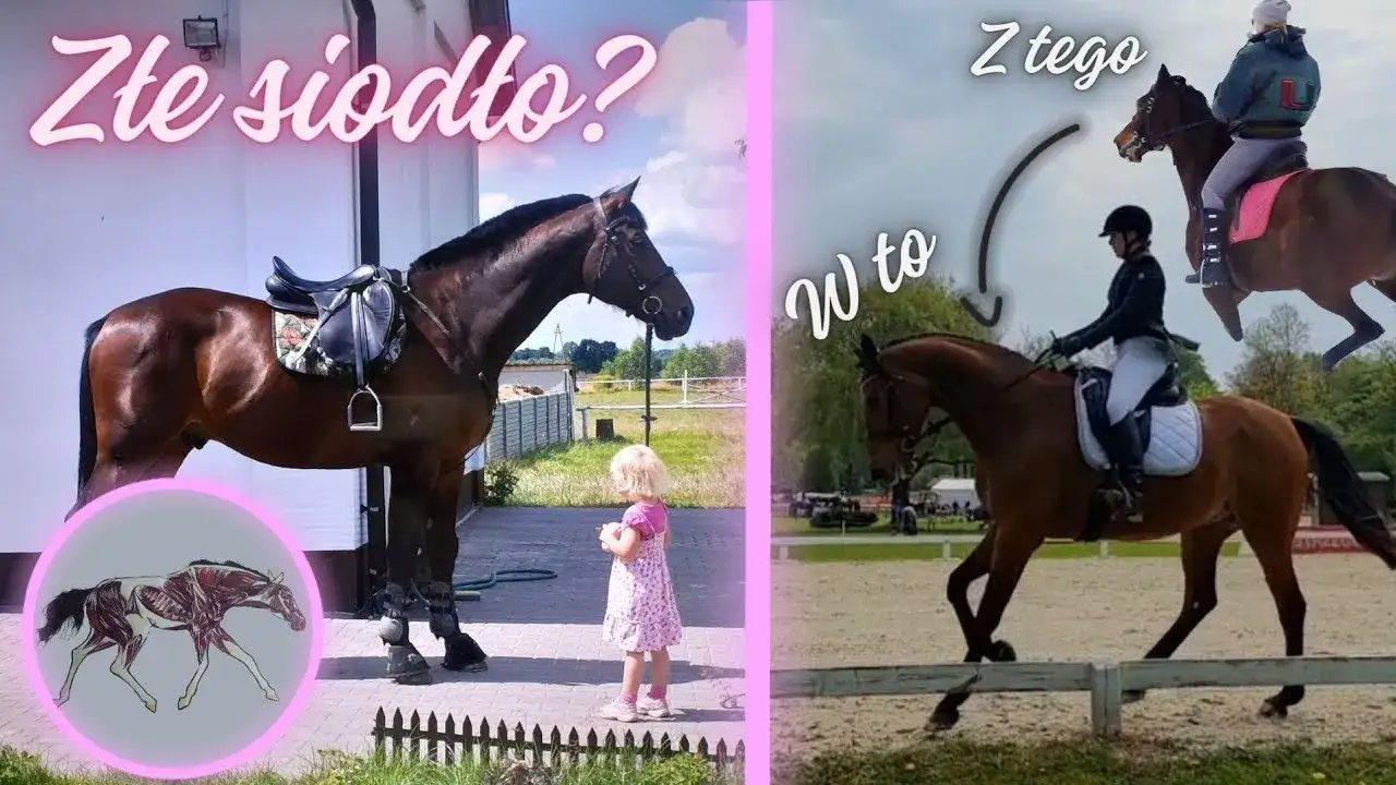 Zdjęcie Jak zmierzyć konia pod siodło, aby uniknąć bólu i dyskomfortu