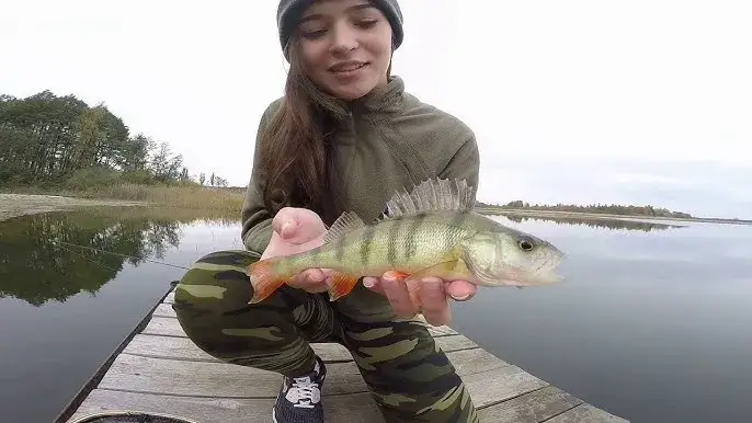 Zdjęcie Jak zdobyć pozwolenie na wędkowanie w jeziorze niedzięgiel i uniknąć problemów