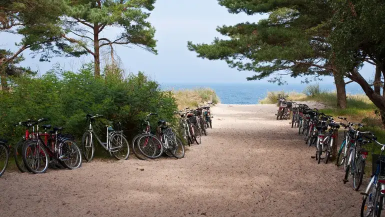 Zdjęcie Jak objechać Krynicę Morską rowerem? 3 najlepsze trasy dla Ciebie