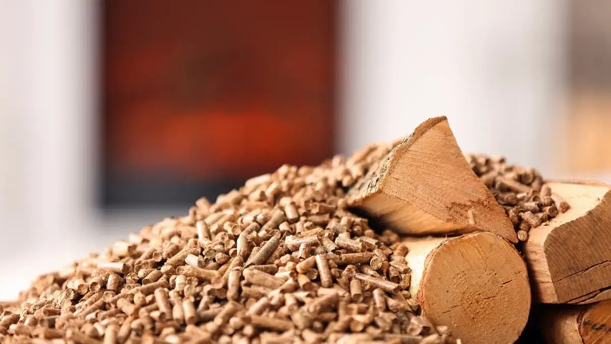 Zdjęcie Jak produkować pellet: Kluczowe materiały i maszyny do sukcesu