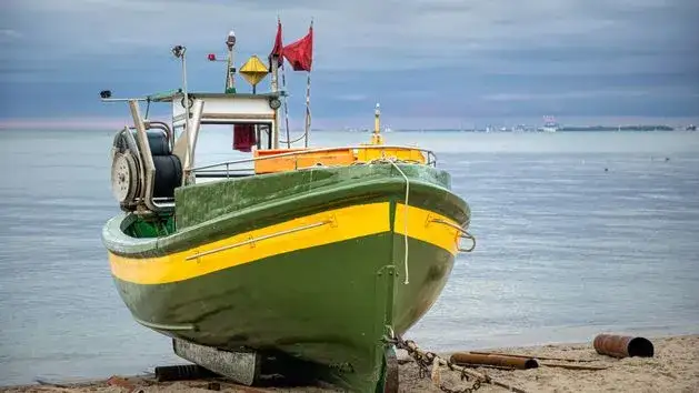 Zdjęcie Czy można łowić dorsza w Bałtyku? Sprawdź ważne przepisy i limity