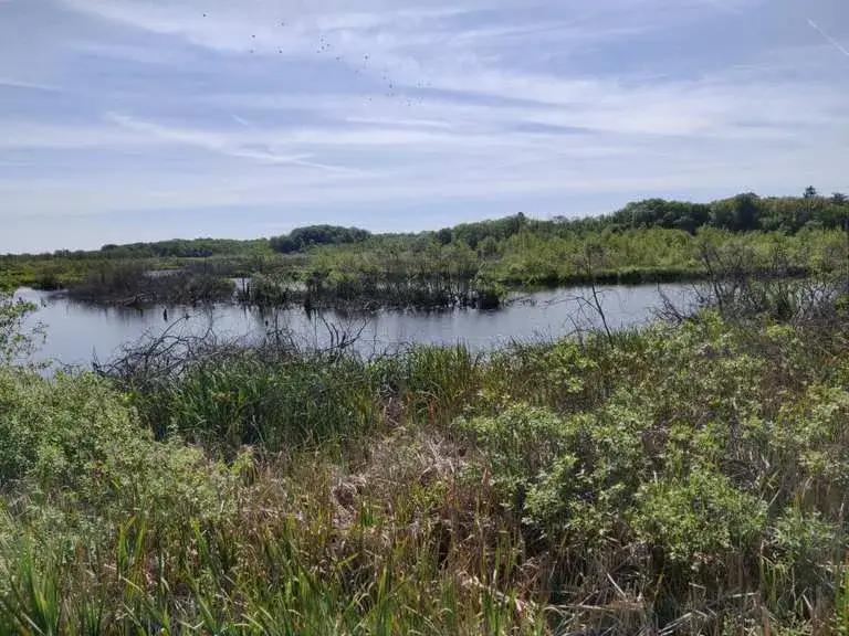 Zdjęcie Trasa rowerowa Kołobrzeg – odkryj najpiękniejsze szlaki i atrakcje