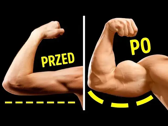 Zdjęcie Skuteczne ćwiczenia na biceps: Jak zbudować masę i siłę?
