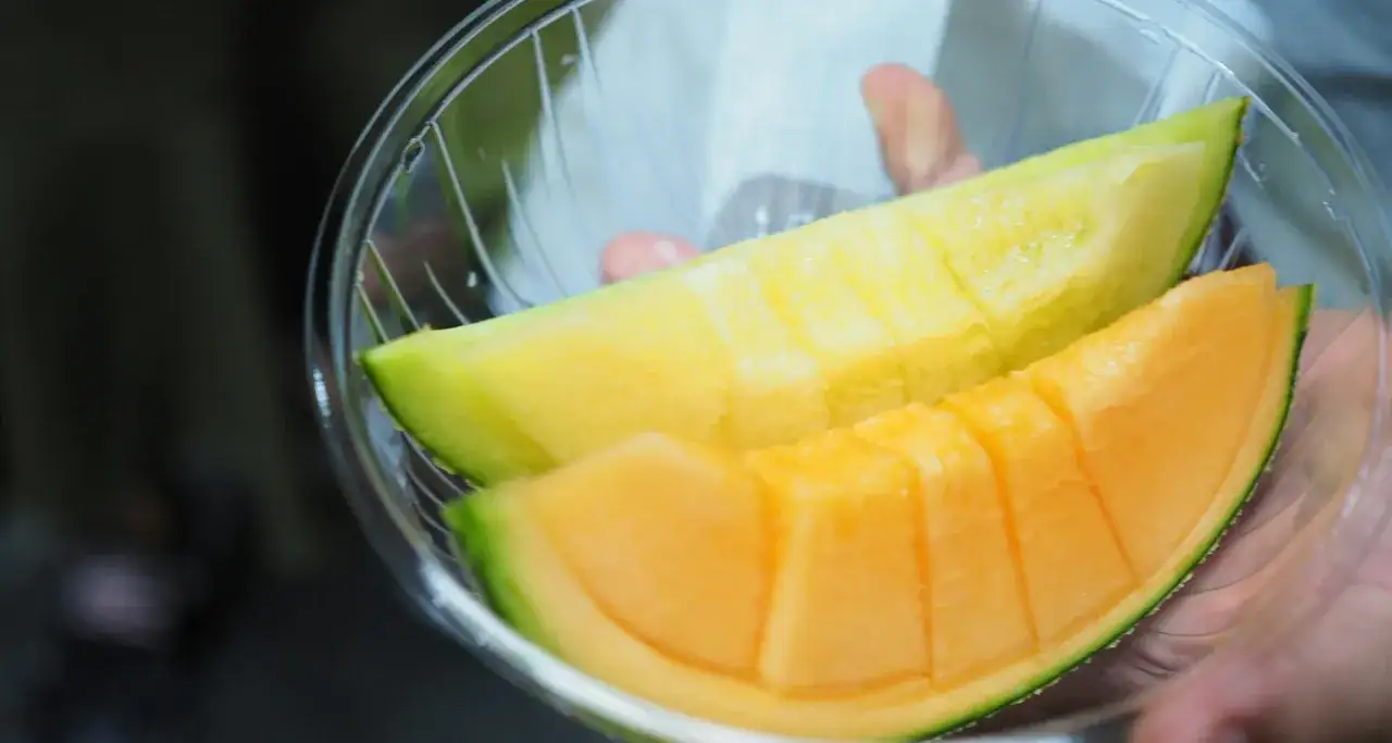 Zdjęcie Czy pies może jeść melona? Bezpieczne zasady i zdrowe korzyści