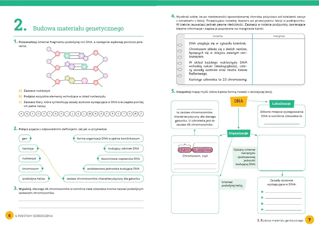 Zdjęcie Biologia od której klasy? Sprawdź, kiedy zaczynają się lekcje biologii