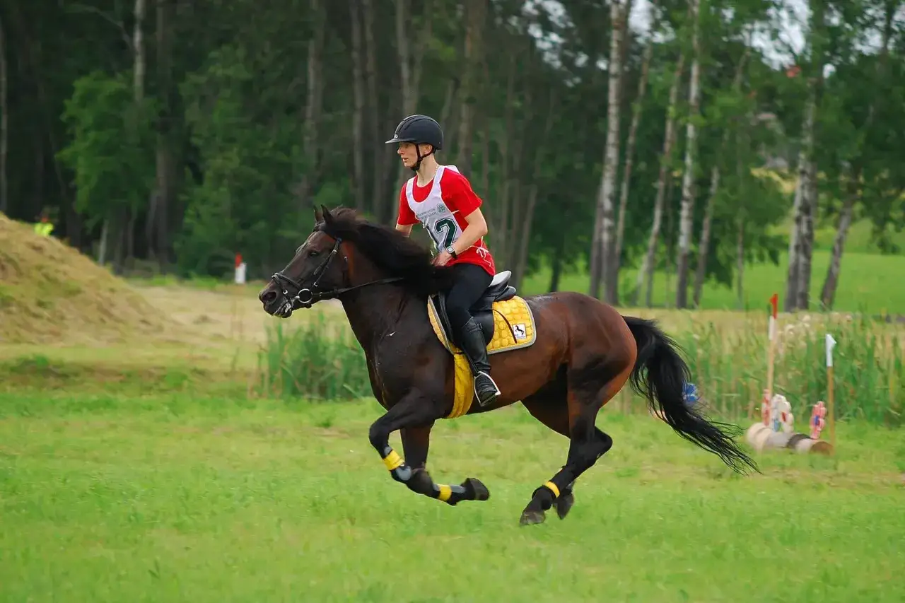Zdjęcie Nielepice stadnina – wyjątkowe doświadczenia z końmi huculskimi