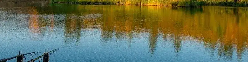 Zdjęcie Łowisko Zajączków – odkryj idealne miejsce na wędkowanie w Lubelskiem