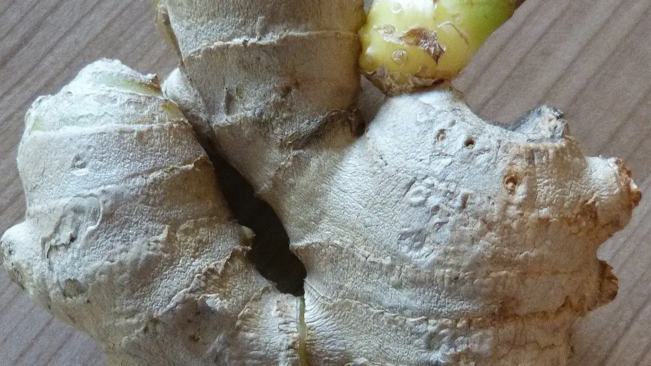 Zdjęcie Jak posadzić imbir, aby uzyskać zdrowe i smaczne plony?