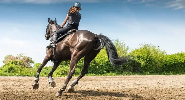 Zdjęcie Czy jeżdżąc konno można schudnąć? Odkryj prawdziwe efekty jazdy konnej