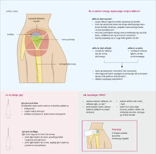 Zdjęcie Jak przewieźć szczepionkę bez ryzyka – kluczowe zasady i porady