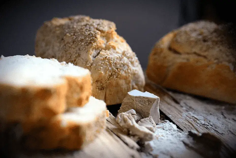 Zdjęcie Czy drożdże są wegańskie? Odkryj prawdę o ich składzie i zastosowaniu