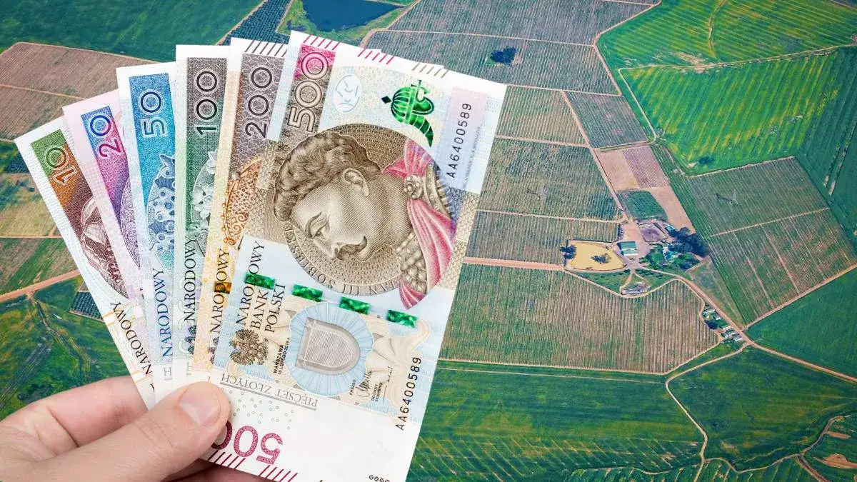 Zdjęcie Ile kosztuje hektar pola w świętokrzyskim? Sprawdź aktualne ceny!