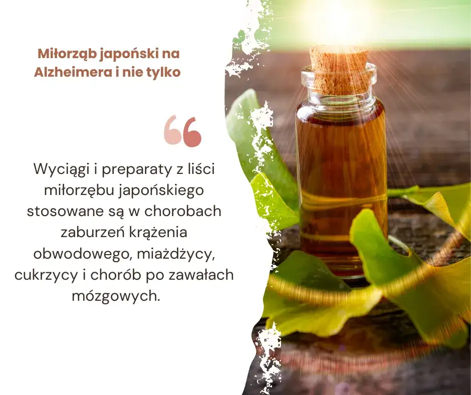 Zdjęcie Skuteczne metody na poprawę pamięci u osób starszych i ich zdrowie