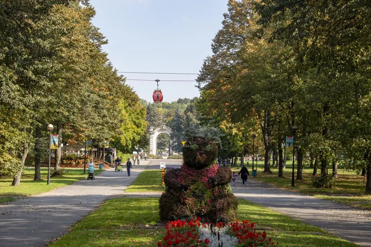 Zdjęcie Park Śląski: Czy to naprawdę największy w Europie? Fakty i mity