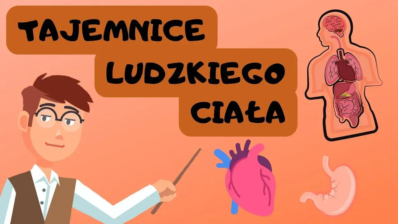 Zdjęcie Edukacyjne filmy o tym, skąd się wziąłem - jak rozmawiać z dziećmi