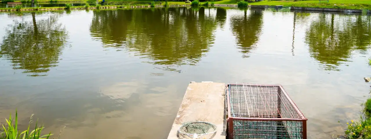 Zdjęcie Trzeboszowice łowisko: najlepsze miejsce na udane wędkowanie z rodziną