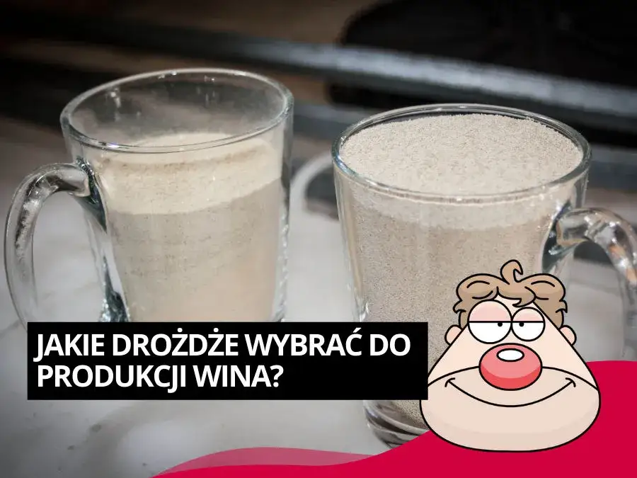 Zdjęcie Jakie drożdże do wina wybrać, aby uniknąć słabego smaku?