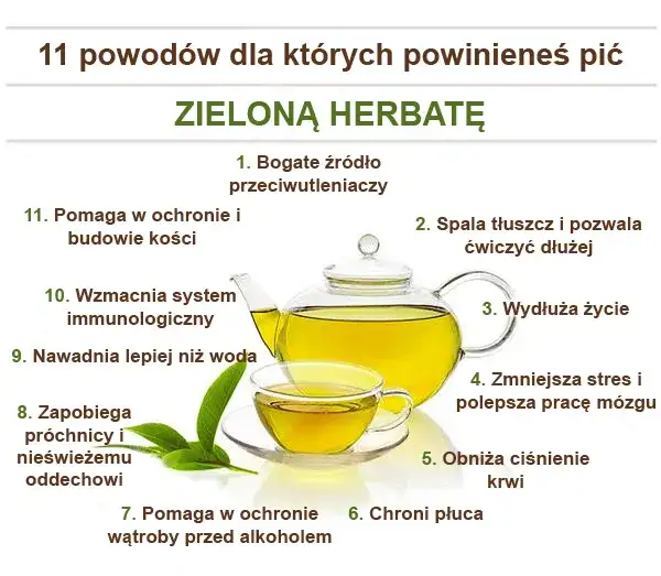 Zdjęcie Właściwości zielonej herbaty – dlaczego warto ją pić i jak wpływa na zdrowie?