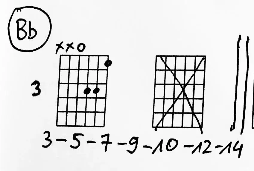 Zdjęcie Chryzantemy złociste chwyty gitarowe - zagraj je bez błędów