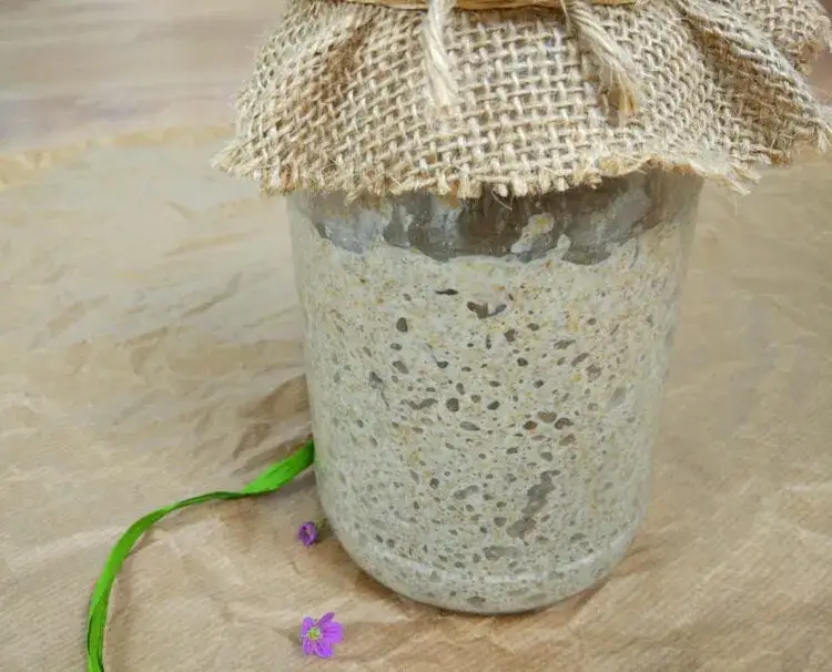 Zdjęcie Jaka mąka na zakwas? Odkryj najlepsze rodzaje dla idealnego startera