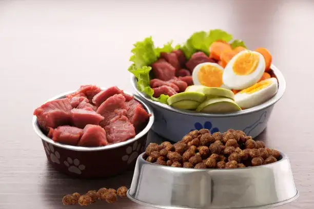 Zdjęcie Jak zrobić jedzenie dla psa, aby zapewnić mu zdrową dietę