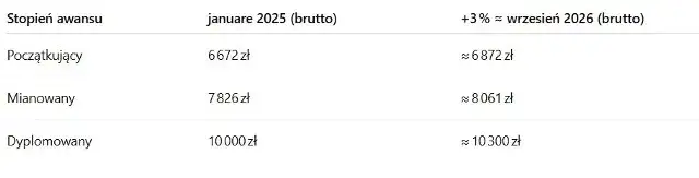 Zdjęcie Nauczanie indywidualne: Ile zarabia nauczyciel w 2026?