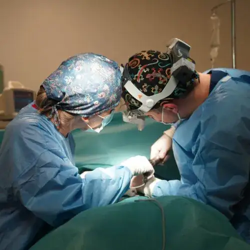 Zdjęcie Jak uzyskać refundację operacji zmniejszenia biustu NFZ i gdzie ją zrobić