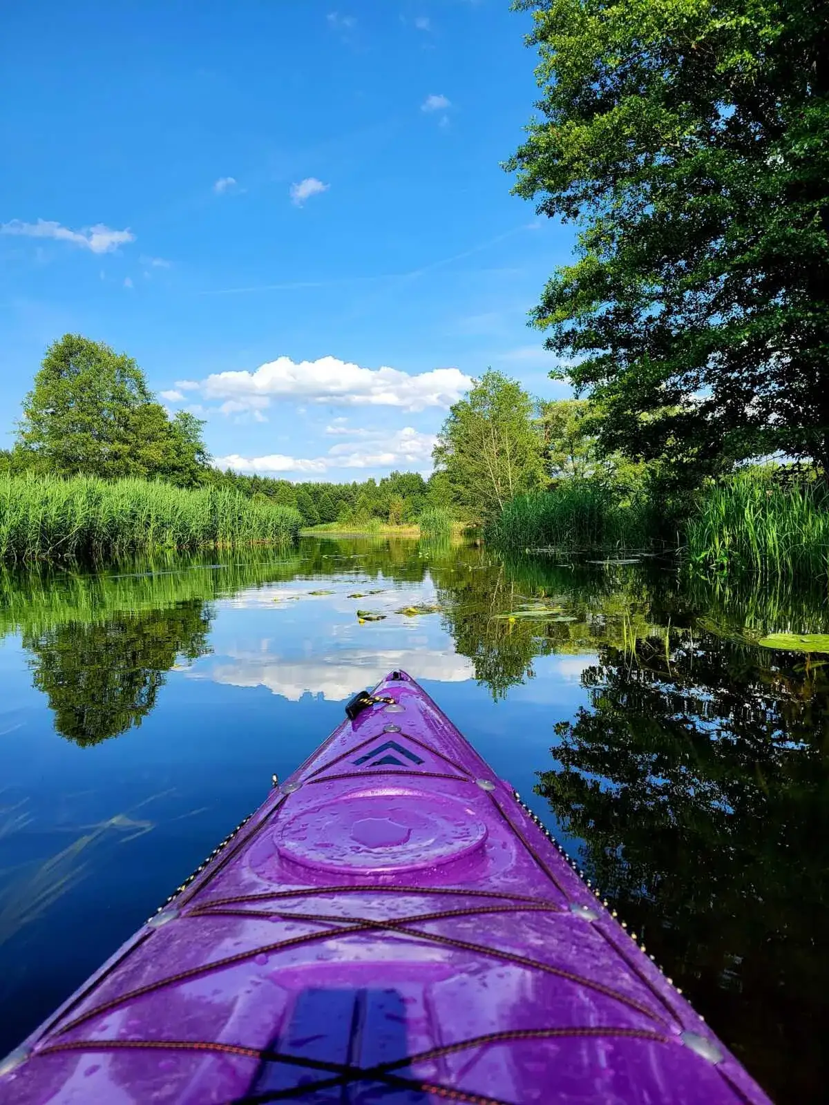Zdjęcie Spływy kajakowe Ełk - malownicze trasy i niezapomniane przygody