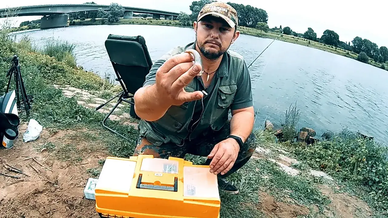 Zdjęcie Jak uzbroić martwą rybkę na sandacza, by zwiększyć swoje szanse na sukces