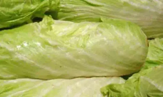 Zdjęcie Chicor&eacute;e pain de sucre : adieu l'amertume, bonjour les saveurs !