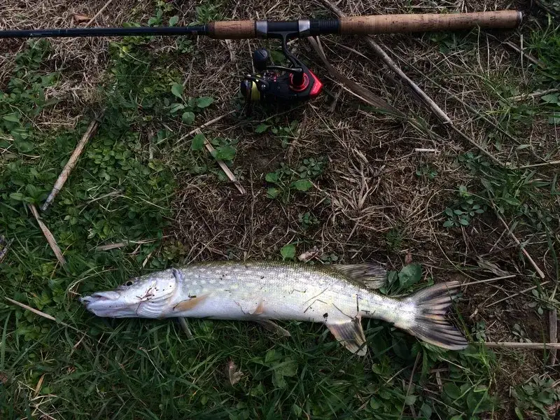 Zdjęcie Gdzie na ryby warmińsko mazurskie – najlepsze miejsca na wędkowanie