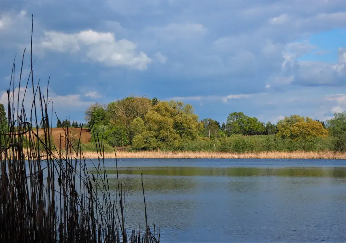 Zdjęcie Najpiękniejsze jeziora zachodniopomorskie: odkryj rekreację i przyrodę