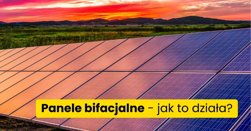 Zdjęcie Panele bifacjalne – czy to opłacalna inwestycja dla Ciebie?