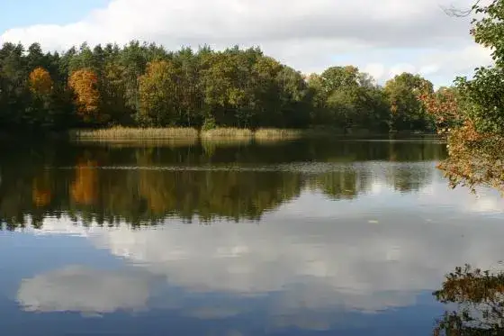 Zdjęcie Jezioro Babskie: Odkryj ukryte skarby i atrakcje turystyczne