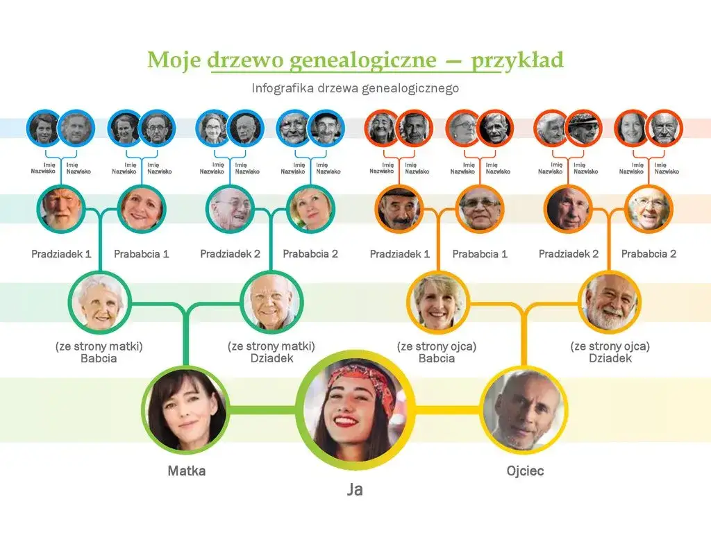 Zdjęcie Jak łatwo zrobić drzewo genealogiczne w PowerPoint: prosty poradnik