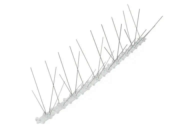 Zdjęcie Skuteczne metody usuwania ptaków z poddasza - bezpiecznie i legalnie