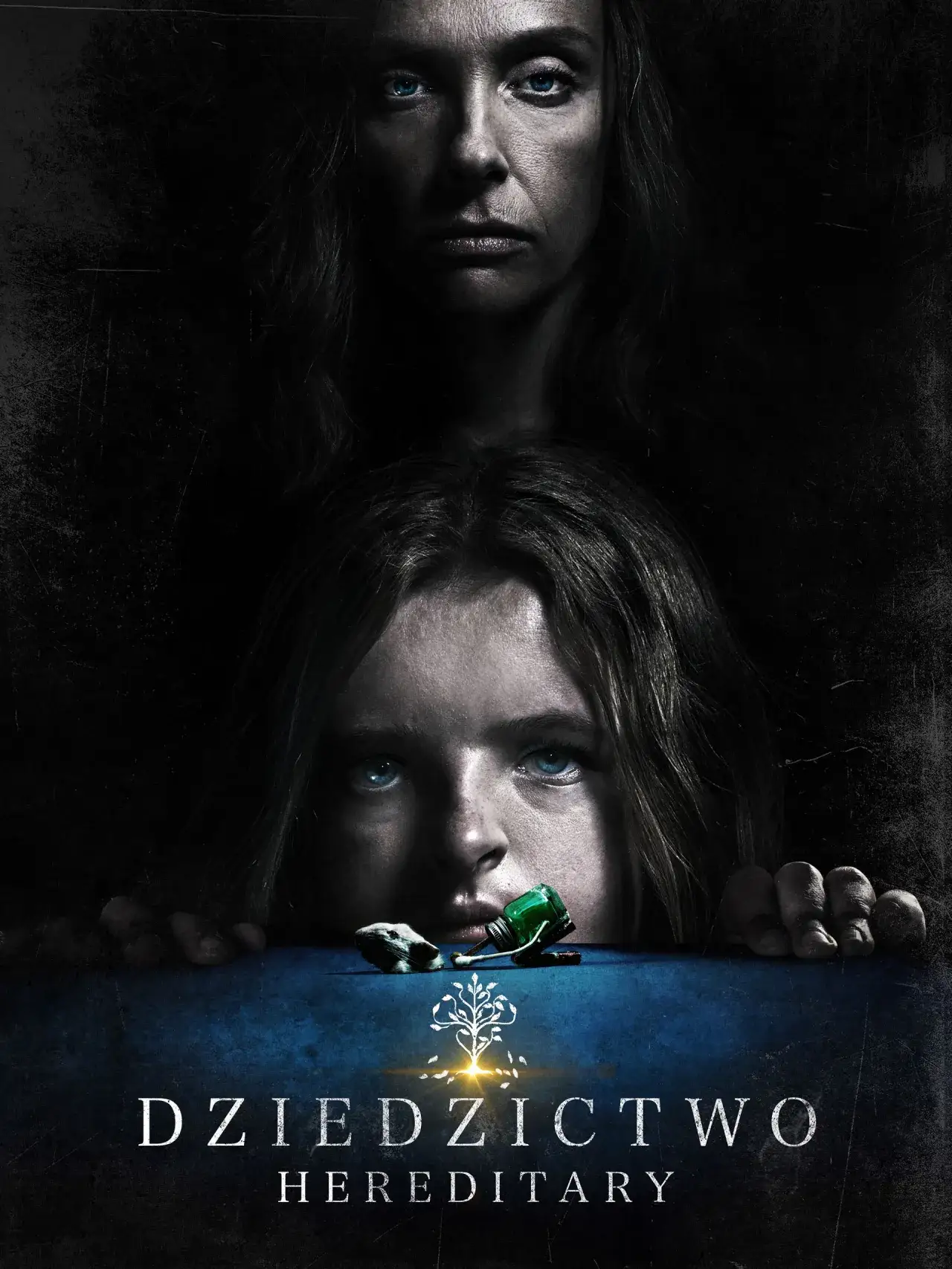 Zdjęcie Dziedzictwo horror: mroczne dziedzictwo, które przeraża widzów