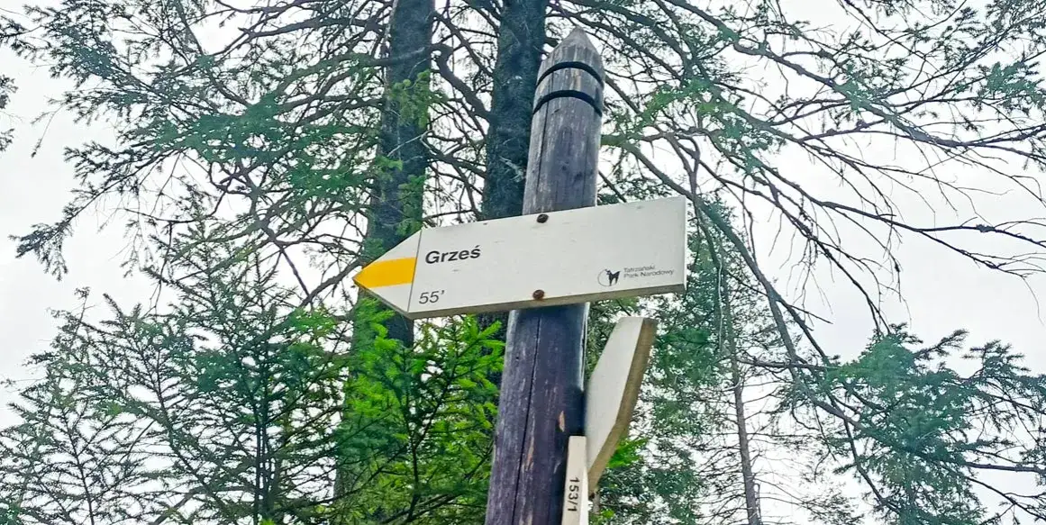 Zdjęcie Jak zdobyć Grzesia w Tatrach? Najłatwiejsza trasa krok po kroku