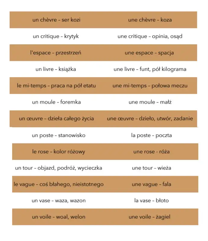 Zdjęcie Rodzajniki określone francuski - Klucz do poprawnej komunikacji w języku