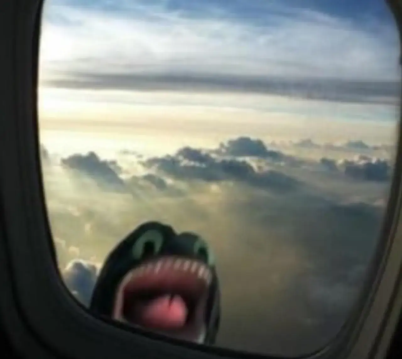 Zdjęcie Najbardziej inspirujące cytaty z Jak wytresować smoka, które musisz znać