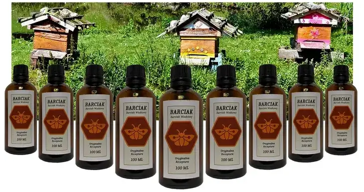 Zdjęcie Gdzie kupić nalewkę z mola woskowego? Sprawdź najlepsze oferty