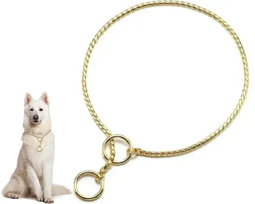 Zdjęcie Obroża zaciskowa dla psa jak działa – ryzyko i skutki dla zdrowia