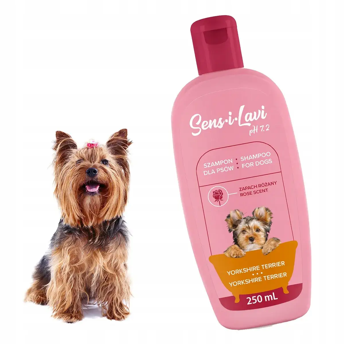 Zdjęcie Gdzie kupić szampon dla psa? Sprawdź najlepsze oferty online