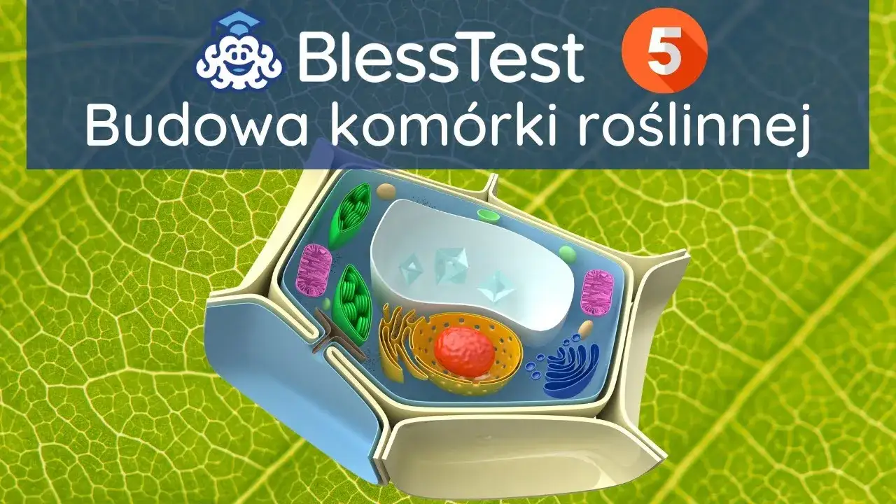 Zdjęcie Czym różni się komórka roślinna od zwierzęcej? Kluczowe różnice, które musisz znać