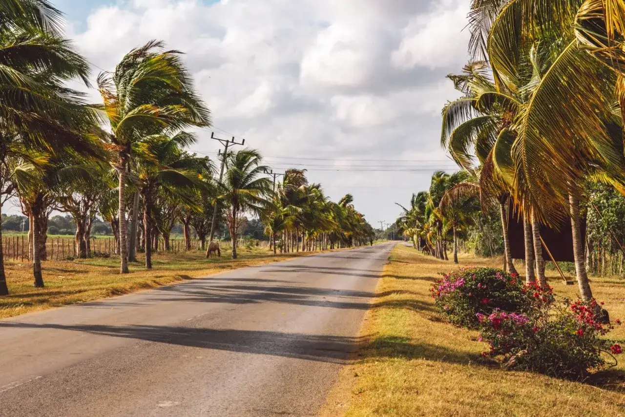Zdjęcie Kiedy jechać na Kubę? Najlepszy czas na podróż bez tłumów i wysokich cen