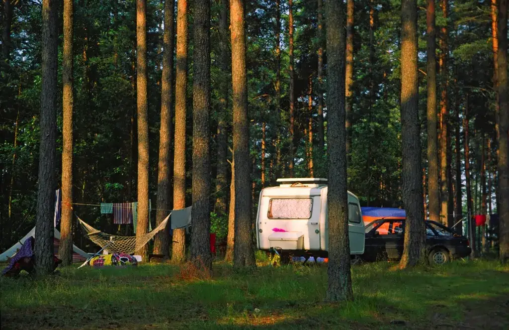 Zdjęcie Gdzie pod namiot łódzkie - najlepsze miejsca na biwak w naturze