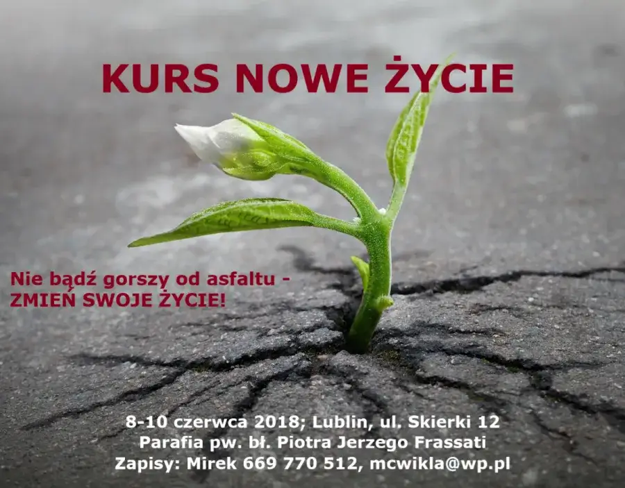 Zdjęcie Kurs Nowe Życie - opinie uczestników o duchowej przemianie
