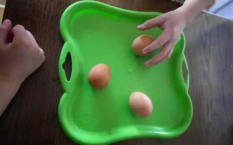 Zdjęcie Eksperymenty z jajkami dla dzieci: Gumowe jajko, pływanie i więcej!